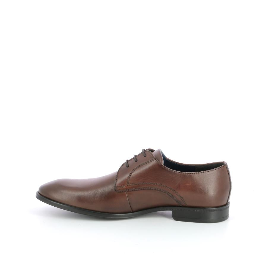 ANTHONY MORELLI Derbies Richelieus - Couleur: Brun - Mano Shoes and Bags