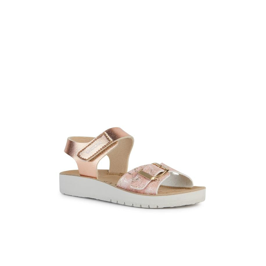 645X%24097%24_2