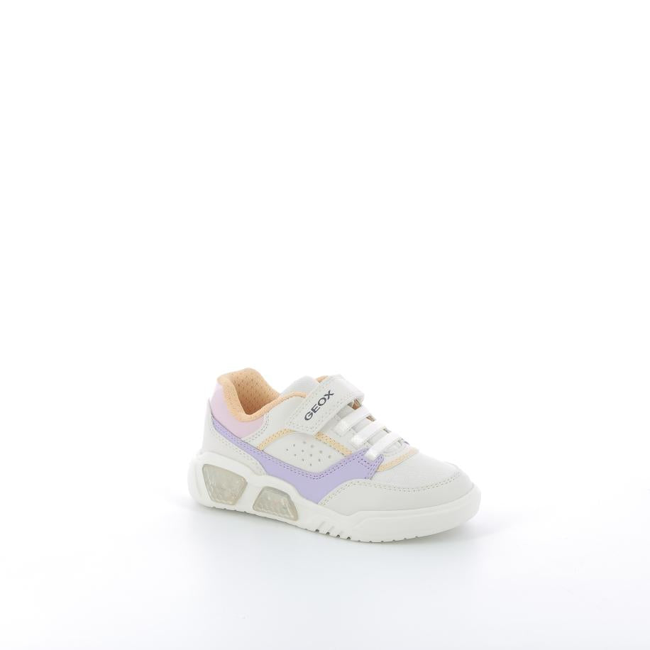 GEOX Baskets - Couleur: Blanc - Mano Shoes and Bags