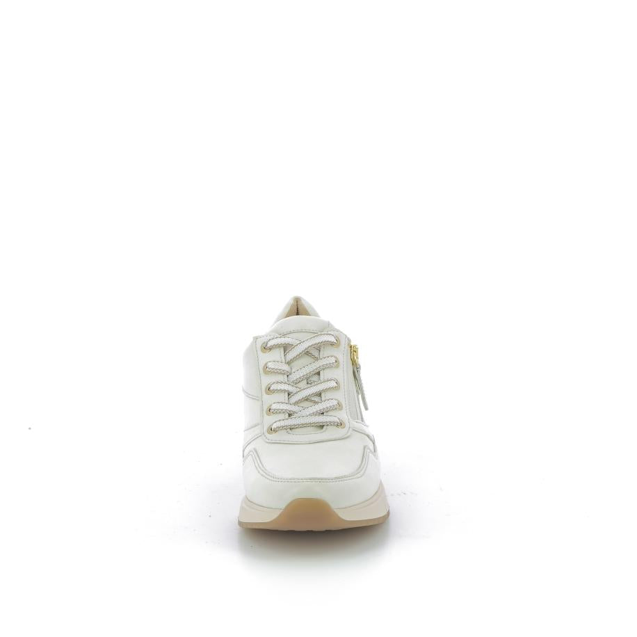 252X$0P9$_3