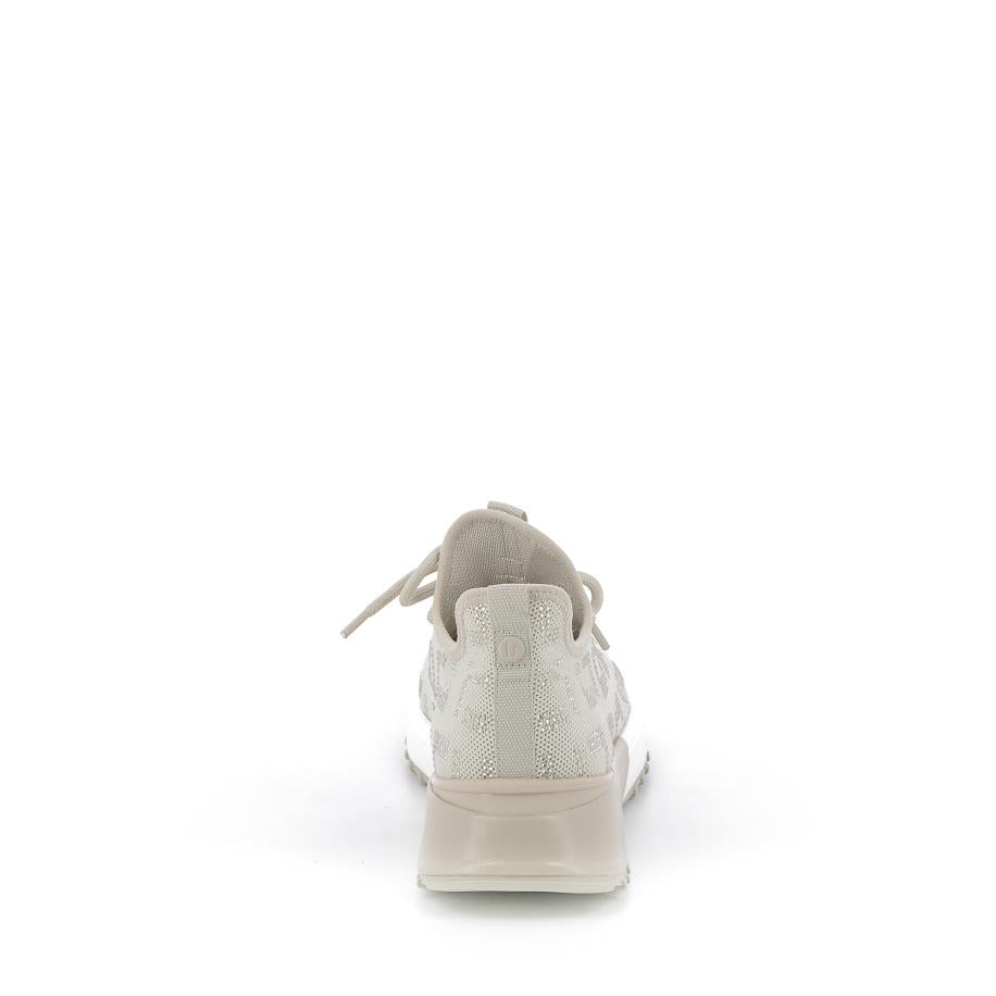 253X$165$_5