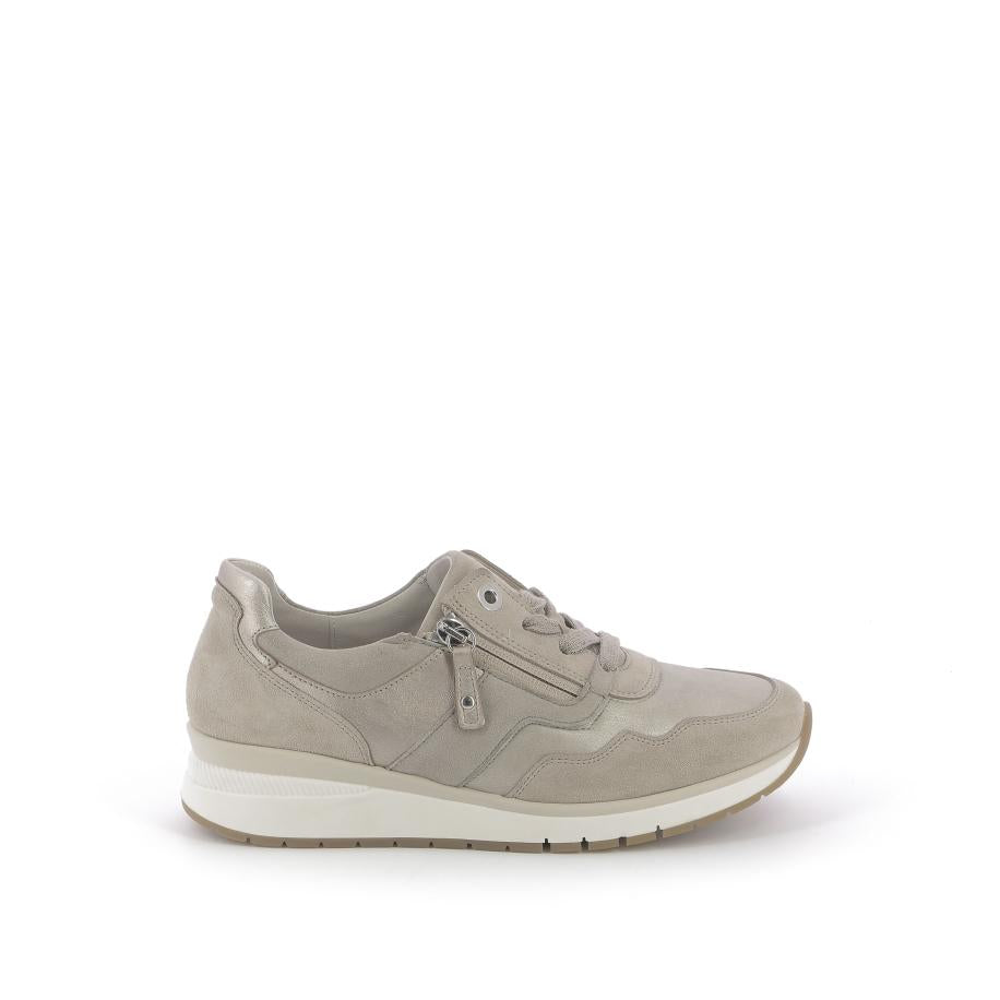 253X$264$_1