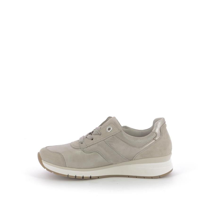 253X$264$_4