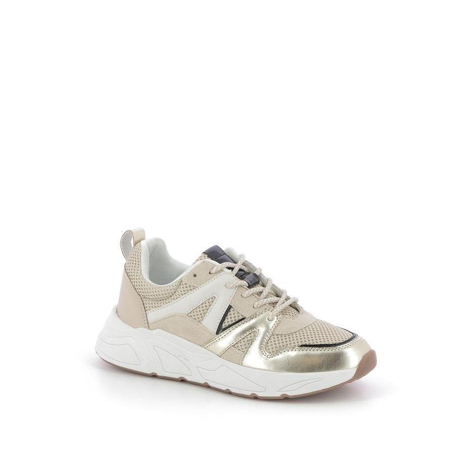 256X$172$_2