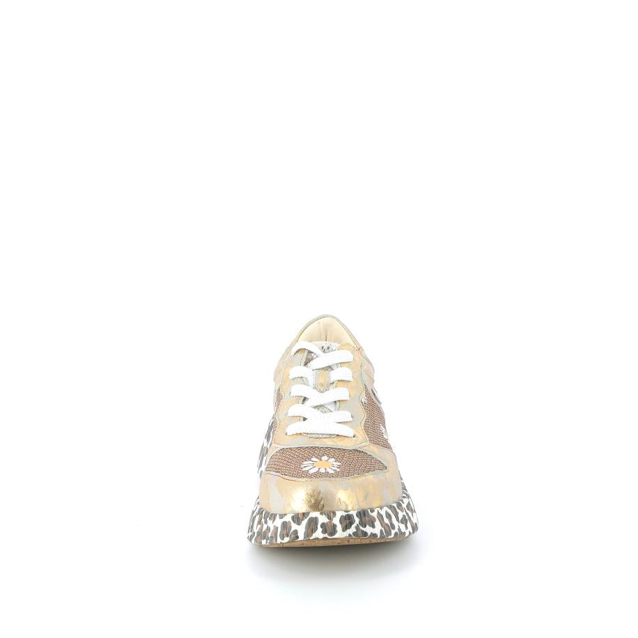 256X$359$_3
