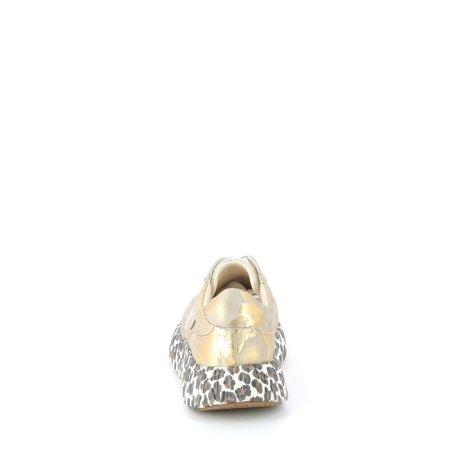 256X$359$_5