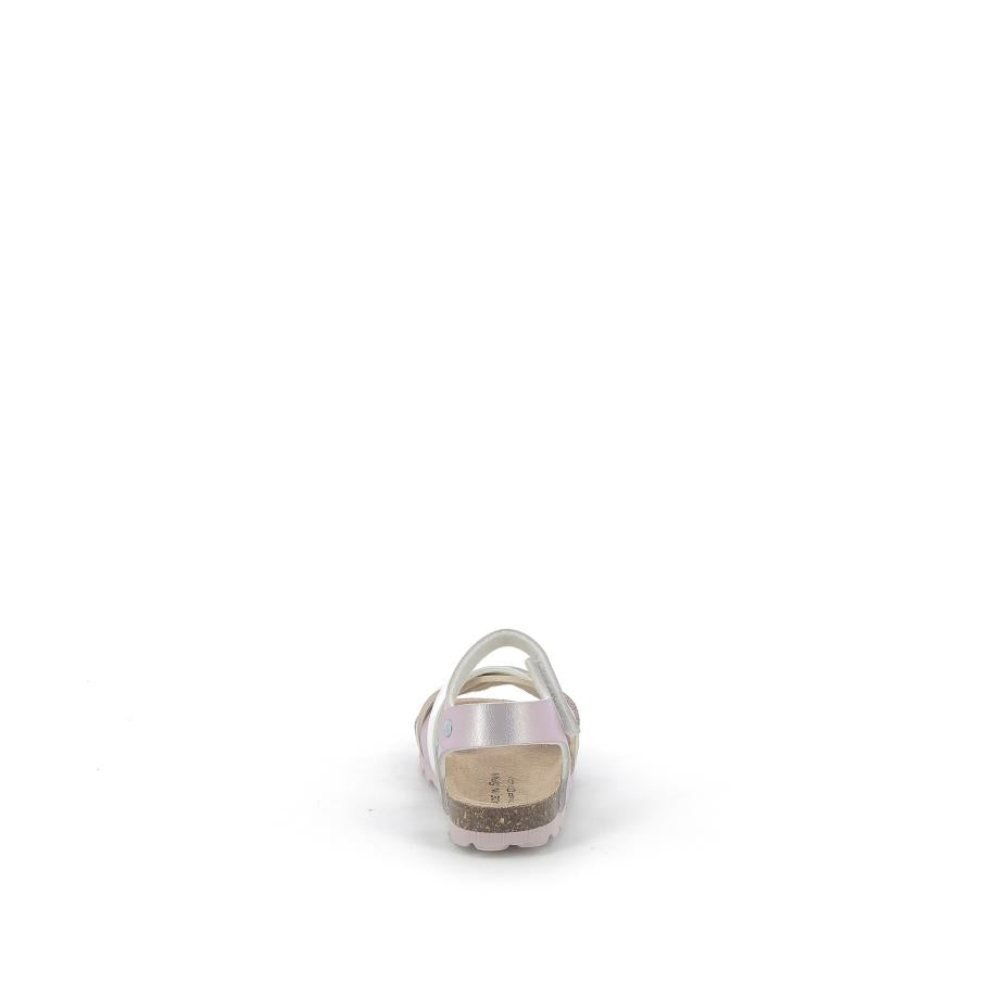645X%240B2%24_5