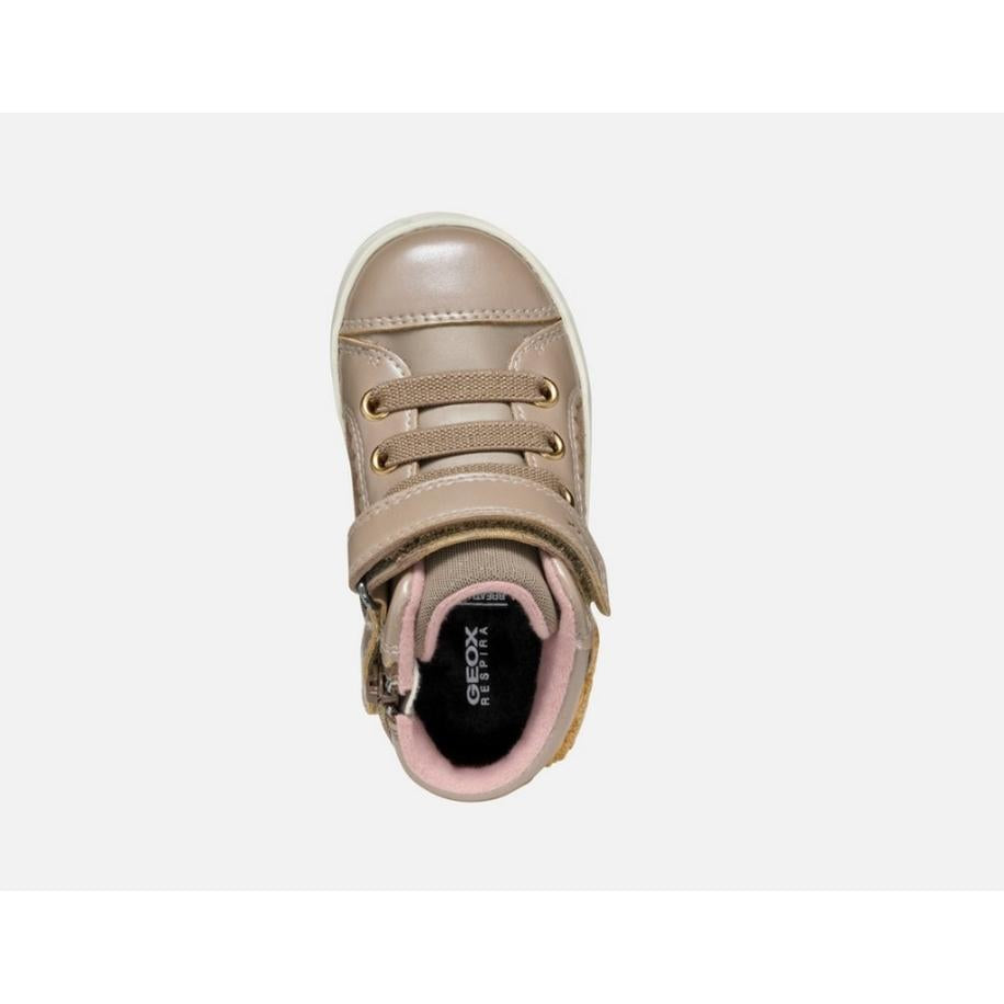 703X%240E5%24_5