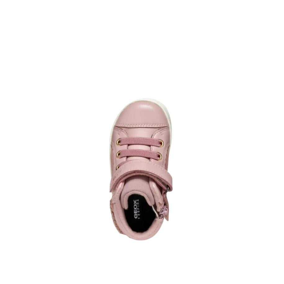 705X%240E6%24_3